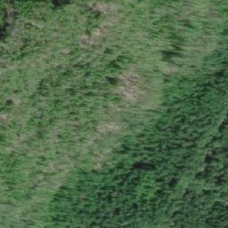 Satellite imagery of Mount Falkner, CA