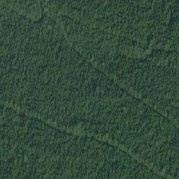 Satellite imagery of American Point, CA
