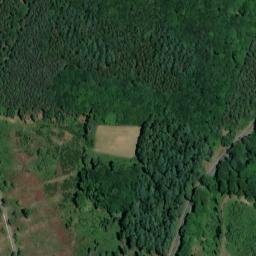 Satellite imagery of Steckenberg, DE