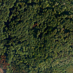 Satellite imagery of Köppel, DE