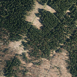 Satellite imagery of Fehrenberg, DE