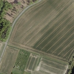 Satellite imagery of Borgelberg, DE