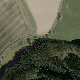 Satellite imagery of Borgelberg, DE
