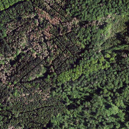 Satellite imagery of Schiffer Berg, DE