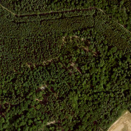 Satellite imagery of Seifertsberg, DE