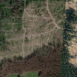 Satellite imagery of Fehrenberg, DE