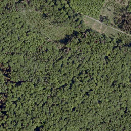 Satellite imagery of Steinbügel, DE