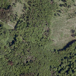 Satellite imagery of Steinbügel, DE