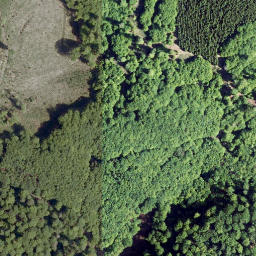 Satellite imagery of Steinbügel, DE