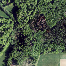 Satellite imagery of Küchenberg, DE