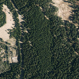 Satellite imagery of Eselsberg, DE