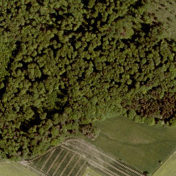 Satellite imagery of Hardtberg, DE