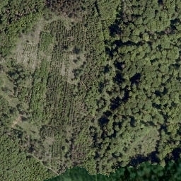 Satellite imagery of Steinbügel, DE