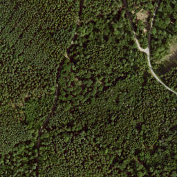 Satellite imagery of Hasenkopf, DE