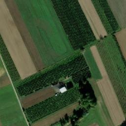 Satellite imagery of Baranów Sandomierski -  Zamek XVIw., PL