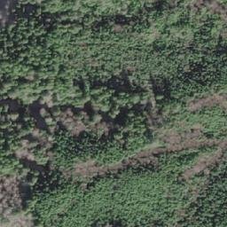 Satellite imagery of Greenwood Point, CA