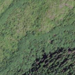 Satellite imagery of Mount Fannin, CA