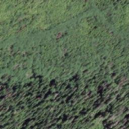Satellite imagery of Mount Fannin, CA
