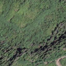 Satellite imagery of Mount Fannin, CA