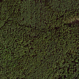 Satellite imagery of Hasenkopf, DE