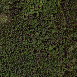 Satellite imagery of Hasenkopf, DE