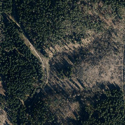 Satellite imagery of Steinerner Berg, DE