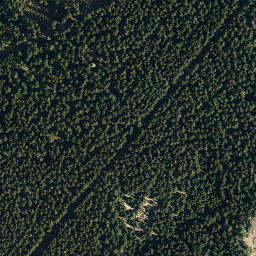 Satellite imagery of Zeupelsberg, DE