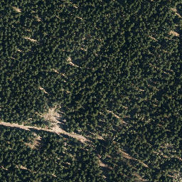 Satellite imagery of Zeupelsberg, DE