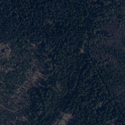 Satellite imagery of Lopota [Božanov], CZ