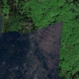 Satellite imagery of Lopota [Božanov], CZ