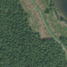 Satellite imagery of Mount Collinson, CA