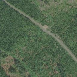 Satellite imagery of Mount Collinson, CA