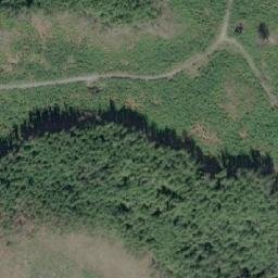 Satellite imagery of William Point, CA