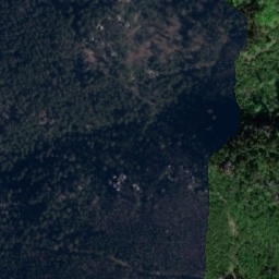 Satellite imagery of Bílá skála [Božanov], CZ