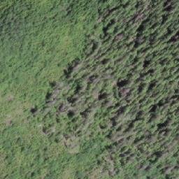 Satellite imagery of Mount Fannin, CA