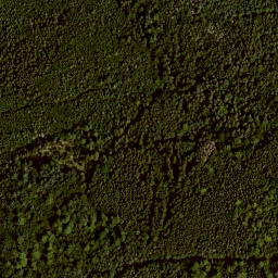 Satellite imagery of Schloss Völkershausen, DE