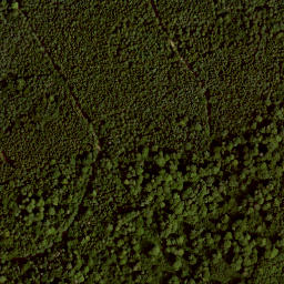 Satellite imagery of Schloss Völkershausen, DE