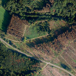 Satellite imagery of Malbergskopf, DE