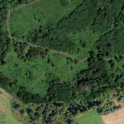 Satellite imagery of Leimenstein, DE