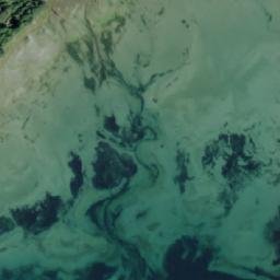 Satellite imagery of White Bluff, CA