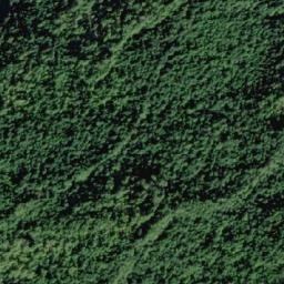Satellite imagery of Tripp Hill, CA