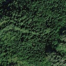 Satellite imagery of Tripp Hill, CA