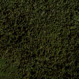 Satellite imagery of Mount Connaught, CA