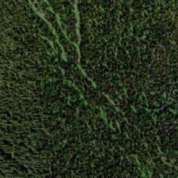 Satellite imagery of Mount Odlum, CA