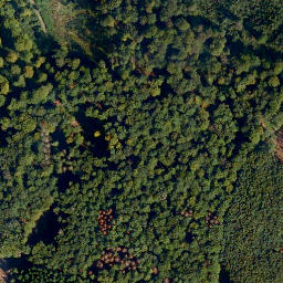 Satellite imagery of Malbergskopf, DE