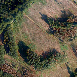 Satellite imagery of Malbergskopf, DE