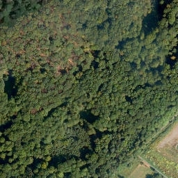 Satellite imagery of Malberg, DE