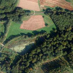 Satellite imagery of Leimenstein, DE