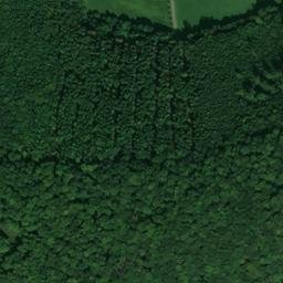 Satellite imagery of Dietrichsberg, DE
