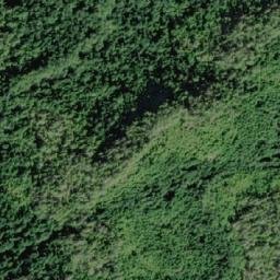 Satellite imagery of Tripp Hill, CA
